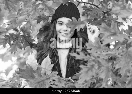 happy teen girl in hat with autumn colorful oak tree leaves, fall Stock Photo