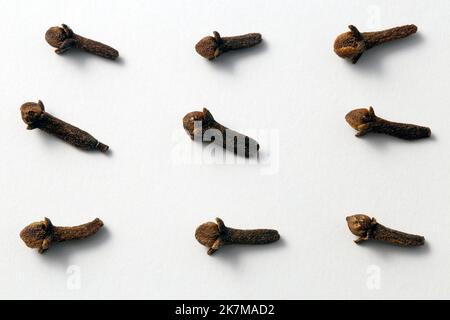 dried cloves on a white background Stock Photo