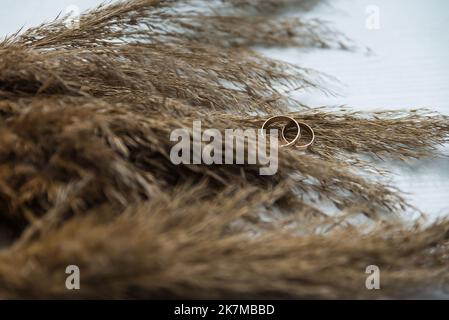 Two wedding rings on the floor with contrast wedding rings on floor, on ground, on piano, in hand Stock Photo