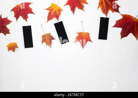 blank black labels and bright fallen maple leaves on a white background. Concept for advertising, autumn sale, shopping. Stock Photo