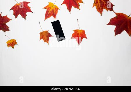 blank black labels and bright fallen maple leaves on a white background. Concept for advertising, autumn sale, shopping. Stock Photo