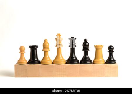 Teamwork Takes The Crown Wooden Chess Set Collection In 3d