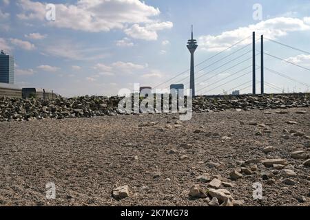 Climate change - the Rhine dwindles and exposes rocks in the dry riverbed in Düsseldorf, Germany Stock Photo
