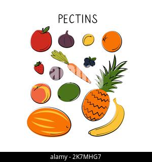 Pectins-containing food. Groups of healthy products containing vitamins ...