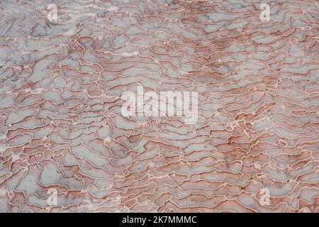 Limestone floor in Pamukkale calcium travertine in Turkey, asymmetric pattern close-up. White cotton castle texture. Red Calcium stone textured. Limes Stock Photo