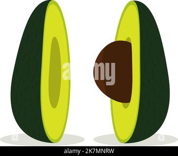 Half an avocado with a pit. Vector illustration. Stock Vector
