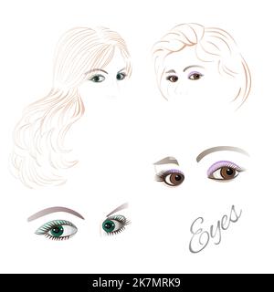 Females  eyes brown and green  with the contour face and  hair Set of vector illustration Stock Vector