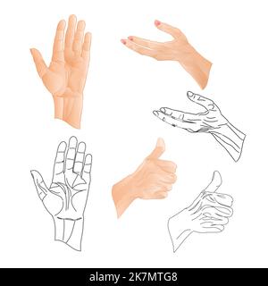 Human hands  drawing and outline set two vector illustration Stock Vector