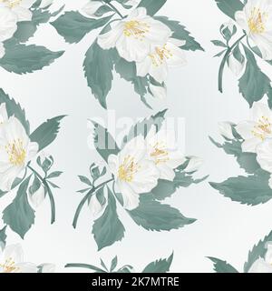 Seamless texture twig jasmine flower and buds spring flower  vector illustration Stock Vector