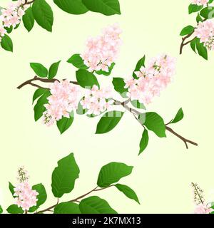 Seamless texture pink Lilac branch natural background vector illustration Stock Vector