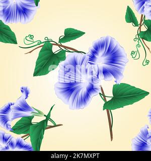 Seamless texture Morning glory  blue spring flower vintage vector illustration Stock Vector