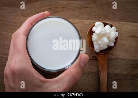 Drinking homemade fermented kefir drink, milk kefir grains in the wooden spoon, selective focus Stock Photo