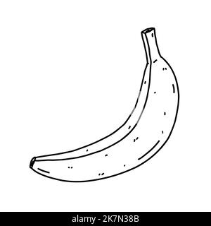 Banana isolated on white background. Organic healthy food. Vector hand-drawn illustration in doodle style. Perfect for cards, logo, decorations, recipes, various designs. Stock Vector