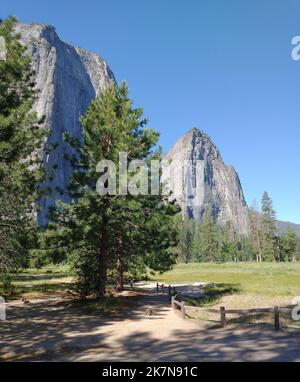 The steep rock formations seen behind green sugar pine trees in ...