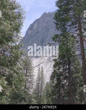 The steep rock formations seen behind green sugar pine trees in ...