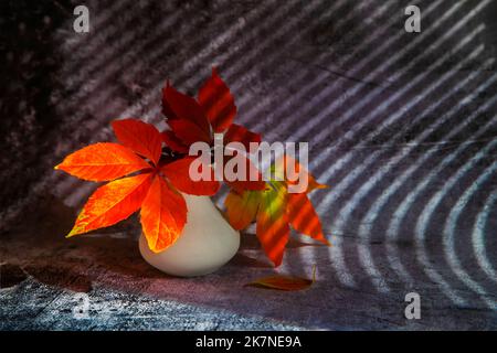 Bouquet of red autumn leaves of wild grapes in a clay vase on a dark textured background. Autumn still life. Stock Photo