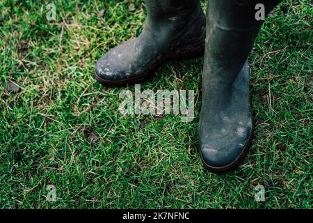 Two dirty black rubbers boots in the grass. Stock Photo