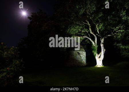 A full moon and Jupiter over the medieval dovecote in the grounds of The Old Vicarage, Tintagel, Cornwall, UK Stock Photo