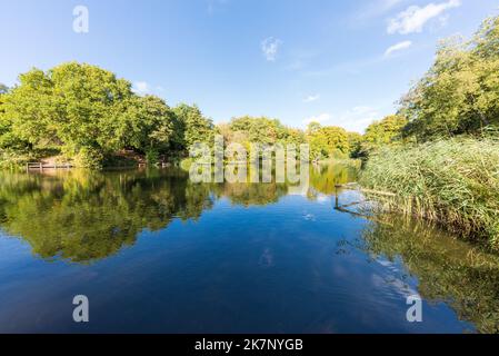 Autumn colour at The Leasowes Park which is a grade 1 listed park in Halesowen, West Midlands and was designed by William Shenstone Stock Photo