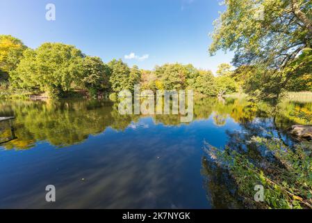 Autumn colour at The Leasowes Park which is a grade 1 listed park in Halesowen, West Midlands and was designed by William Shenstone Stock Photo