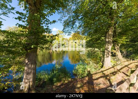 Autumn colour at The Leasowes Park which is a grade 1 listed park in Halesowen, West Midlands and was designed by William Shenstone Stock Photo