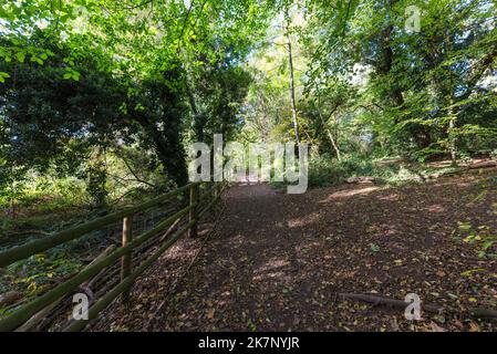 Autumn colour at The Leasowes Park which is a grade 1 listed park in Halesowen, West Midlands and was designed by William Shenstone Stock Photo