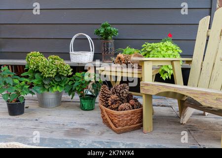 large pine cones in a basket, on a backyard autumn still life Stock Photo