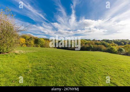 Autumn colour at The Leasowes Park which is a grade 1 listed park in Halesowen, West Midlands and was designed by William Shenstone Stock Photo