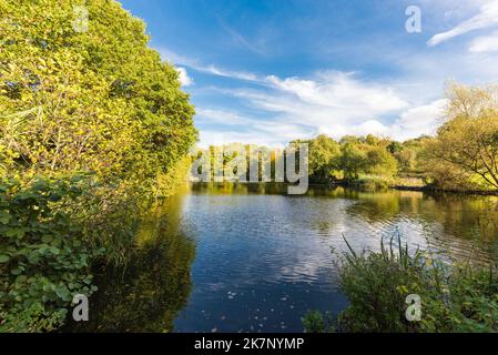 Autumn colour at The Leasowes Park which is a grade 1 listed park in Halesowen, West Midlands and was designed by William Shenstone Stock Photo