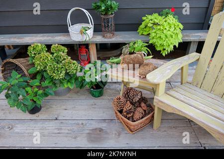 large pine cones in a basket, on a backyard autumn still life Stock Photo