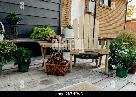 large pine cones in a basket, on a backyard autumn still life Stock Photo