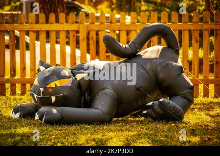 Large black inflatable cat on the prowl Halloween residential yard decoration in front of picket fence with car and truck blurred in background Stock Photo