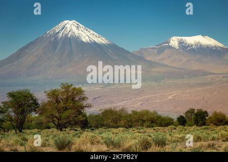 Licancabur at sunny day, Atacama, volcanic landscape, Chile, South America Stock Photo