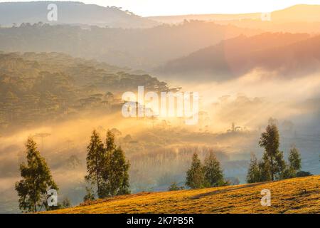 Southern Brazil countryside and meadows landscape at peaceful sunrise Stock Photo