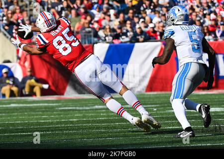 Detroit Lions tight end Hunter Thedford (49) in action against the Buffalo  Bills during an NFL preseason football game, Friday, Aug. 13, 2021, in  Detroit. (AP Photo/Rick Osentoski Stock Photo - Alamy