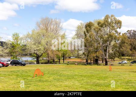 Lake Canobolas reserve and reservoir recreational area, Orange NSW ...