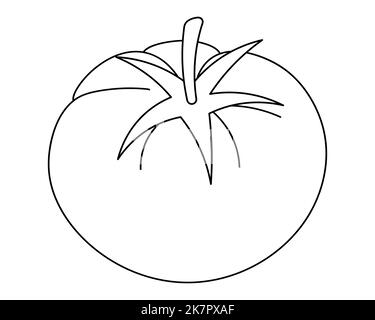Daily Sketch: Tomato Flower - Creative Rituals