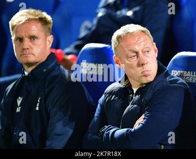 Brighton, UK. 18th Oct, 2022. Steve Cooper Manager of Nottingham Forest during the Premier League match between Brighton & Hove Albion and Nottingham Forest at The Amex on October 18th 2022 in Brighton, England. (Photo by Jeff Mood/phcimages.com) Credit: PHC Images/Alamy Live News Stock Photo