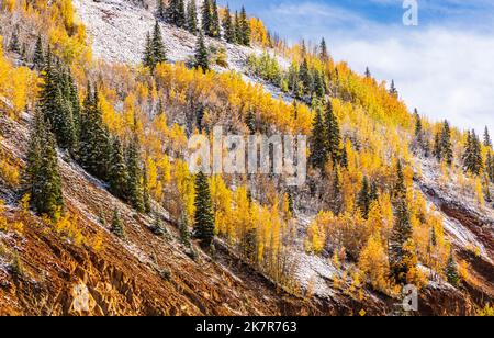 Fresh snow on a red rock mountainside with golden aspen and evergreen trees on a cold, misty Autumn morning in the Chattanooga Valley off Million Doll Stock Photo