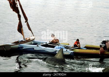 JAWS 2 1978 Universal Pictures film with Gary Dubin and Ann Dusenberry