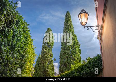 Cypresses and street lamp, relax landscape at sunset, Tuscany, Italy Stock Photo