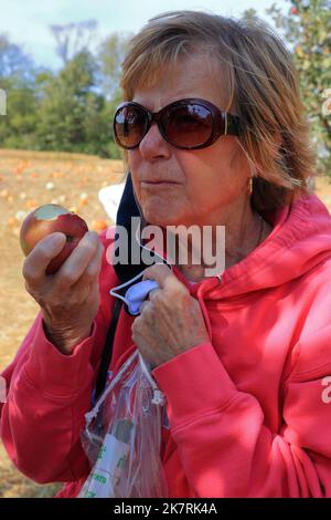 Mature Woman Eating an Apple Outside Stock Photo
