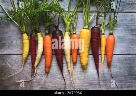 Colored carrots on wooden table, rainbow carrots in a row, overhead flat lay Stock Photo