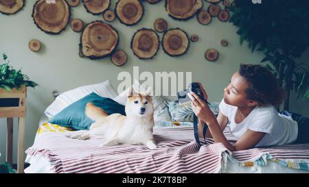 Proud dog owner is taking pictures of her adorable pedigree dog using professional camera lying on bed at home. Beautiful furniture, cute animal and green plants are visible. Stock Photo