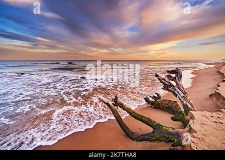 Colorful sunset on the Black Sea, Kamchia beach, Bulgaria Stock Photo