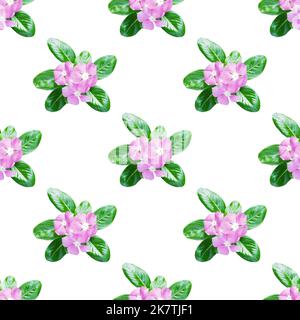 very beautiful pattern seamless pink flower on light yellow background Stock Photo