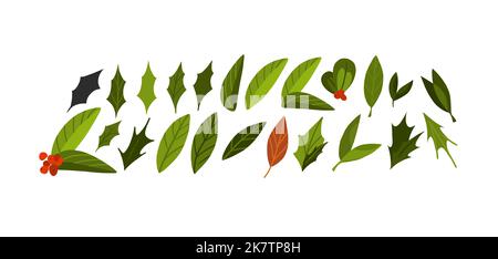 Hand drawn vector abstract graphic Merry Christmas and Happy new year clipart illustrations of cute xmas flowers collection set isolated.Merry Stock Vector