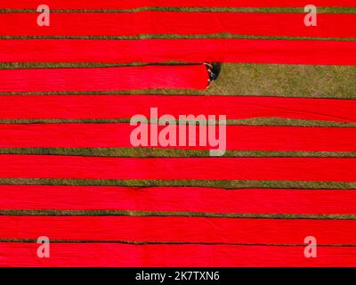 Narsingdi, Dhaka, Bangladesh. 19th Oct, 2022. Hundreds of meters of bright red fabrics are laid out in neat rows across a field in Narsingdi, Bangladesh. Known as ''Lal Shalu'' to the locals, the long red cloths are set out to dry under the hot sun, having been dyed with bright red colour. The use of sunlight to dry out the fabrics reduces production costs as it is cheaper and more sustainable. The eco-friendly drying method spans across an area equal to 5 football fields and takes up to 6 hours to complete after being placed by workers at sunrise. Credit: ZUMA Press, Inc./Alamy Live News Stock Photo