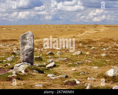 Hike through moors on a slope of the 'Mont Lozere” peak: desert landscape with a pile of stones, rocks Stock Photo