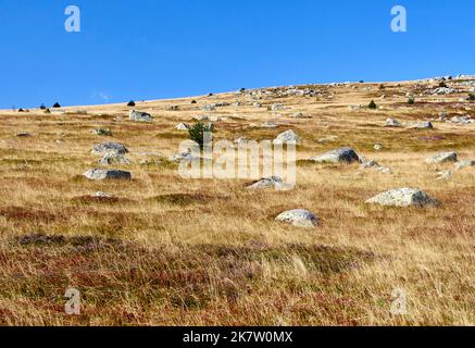 Hike through moors on a slope of the 'Mont Lozere” peak: desert landscape with a pile of stones, rocks Stock Photo